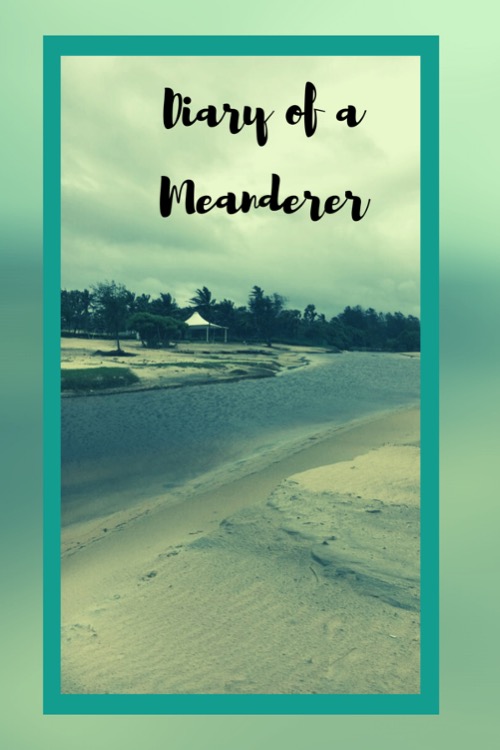 Diary of a Meanderer : Travel Journal Trip Organizer Vacation Planner for 4 trips with extensive checklists and more