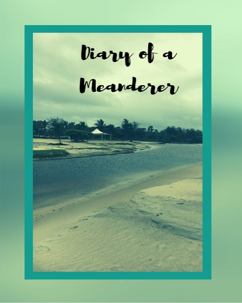 Diary of a Meanderer : Travel Journal Trip Organizer Vacation Planner for 4 trips with extensive checklists and more